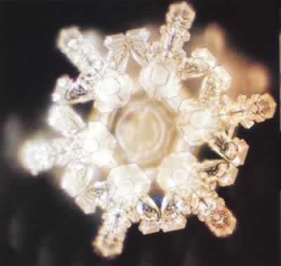 ������ˮ�ᾧ